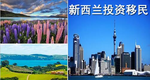青岛移民公司移民新西兰